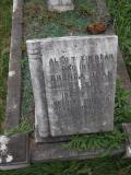 image of grave number 264356